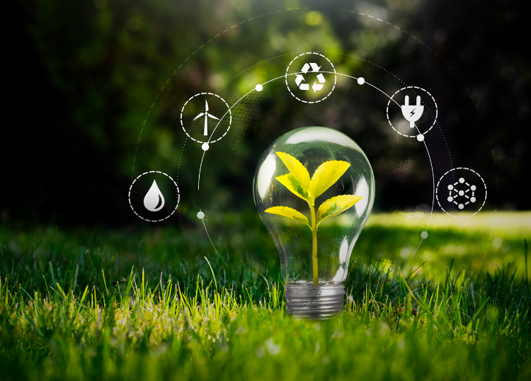 Environmental Compliance During Construction Projects