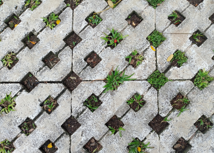 How Permeable Surfaces Manage Stormwater